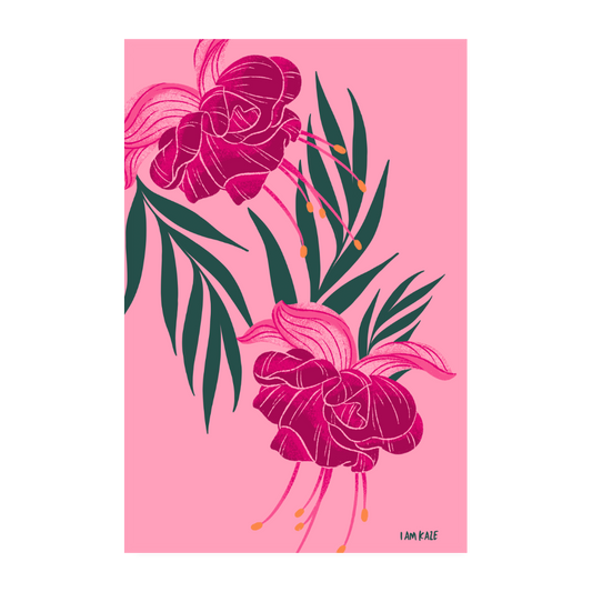 Full Fuchsia Poster - white